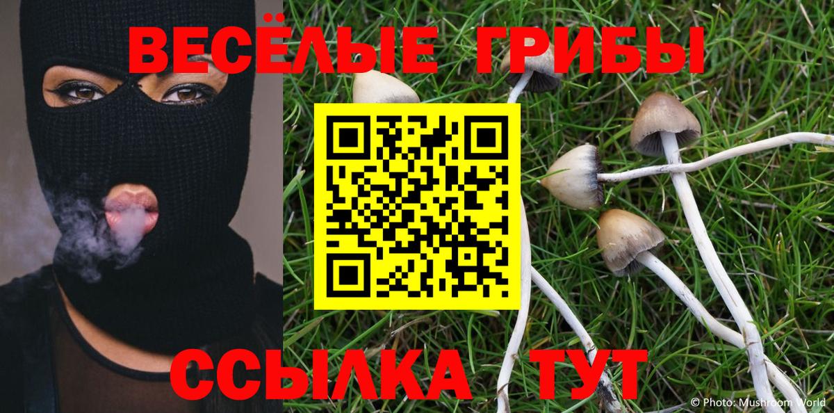 где продают наркотики  Галлюциногенные грибы мухоморы  Галлюциногенные грибы ЛСД  Вход с VPN  Кыштым 